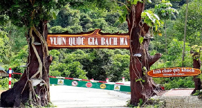 Vườn quốc gia Bạch Mã Huế: trekking, điểm đẹp, kinh nghiệm đi 2026