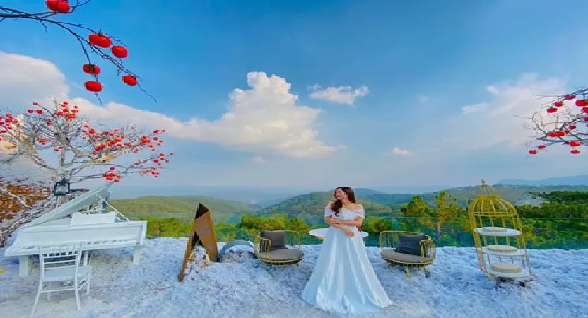 Cánh đồng tuyết Đà Lạt - Địa điểm sống ảo khiến bạn phải say