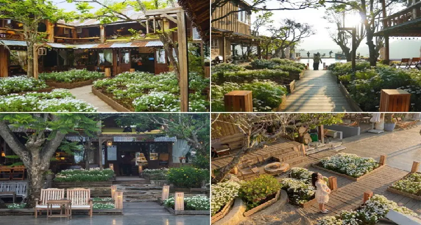 Tiệm cafe Bình Minh Ơi - Địa điểm sở hữu view cực cháy