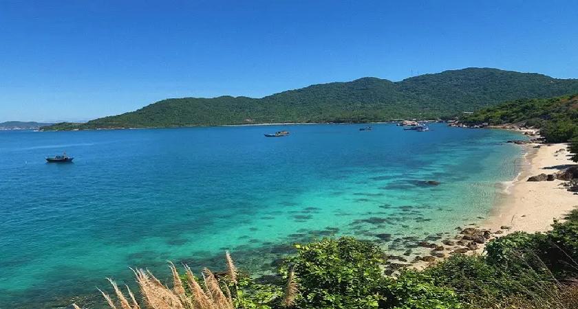 Bãi Xếp Cù Lao Chàm: đường đi, chơi gì và kinh nghiệm khám phá 2026