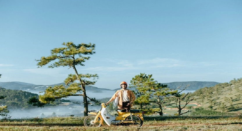 Đồi Ngô Quyền - Hòa Quyện Giữa Thiên Nhiên Và Lịch Sử