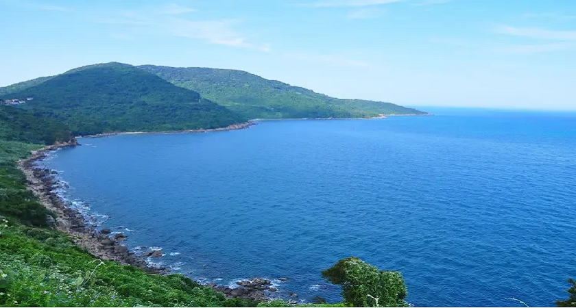 Bãi Nam Sơn Trà Đà Nẵng: đường đi, chơi gì và kinh nghiệm khám phá 2026