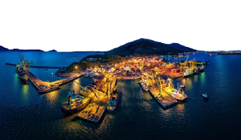 Cảng Tiên Sa Sơn Trà - Nét đẹp hoang sơ và thơ mộng của Đà Nẵng