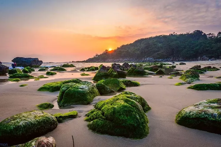 Làng biển Nam Ô Đà Nẵng - Địa điểm du lịch biển lý tưởng