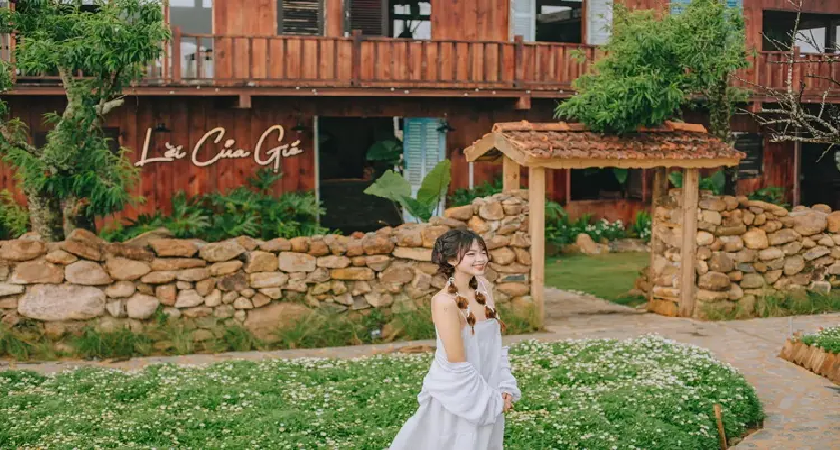 Lời Của Gió Đà Lạt - hiên đường dành cho những tâm hồn muốn chữa lành