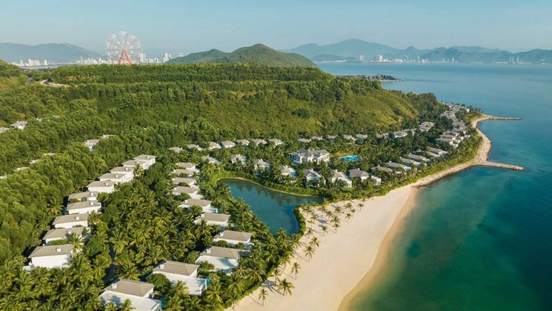 Con Sẻ Tre Nha Trang