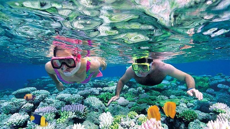 Con Sẻ Tre Nha Trang