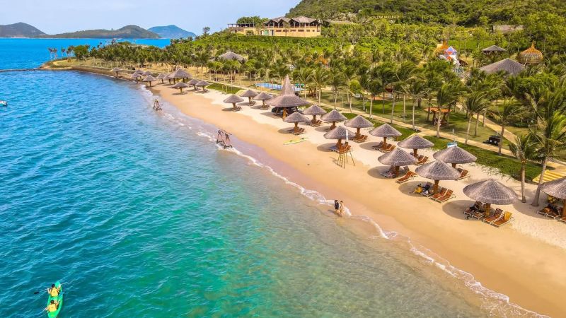 Con Sẻ Tre Nha Trang