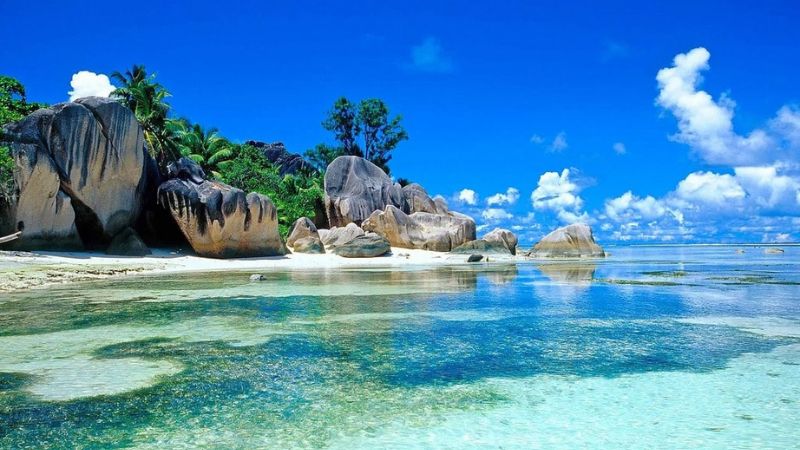 Công Ty Du Lịch Nha Trang: Danh Sách Và Cách Kiểm Tra Giấy Phép
