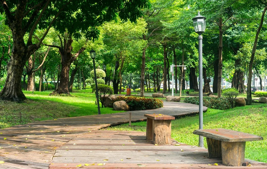 Công Viên Gia Định - Ốc Đảo Xanh Giữa Lòng Sài Gòn