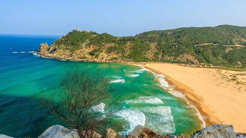 Đại Lãnh Nha Trang: Vị Trí, Cách Đi Và Kinh Nghiệm 2026