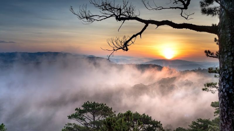 Đỉnh Pinhatt Đà Lạt: Hành trình khám phá cung đường trekking tuyệt vời