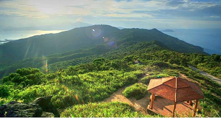 Nhà Vọng Cảnh Sơn Trà Đà Nẵng: kinh nghiệm tham quan và điểm nổi bật 2026