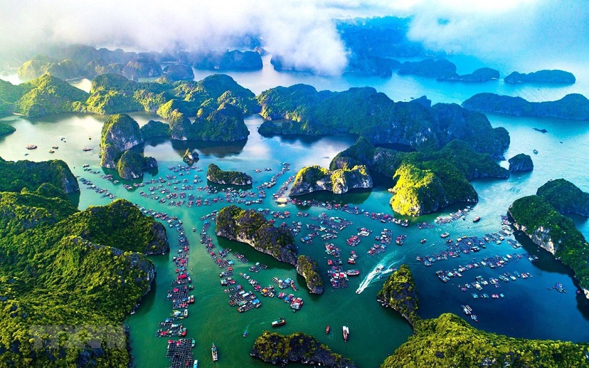 Vịnh Hạ Long- Viên Ngọc Của Vùng Đông Bắc