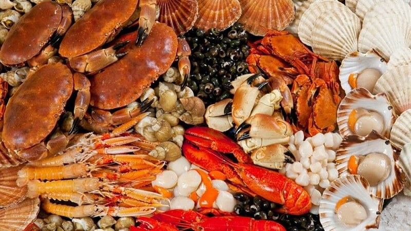 Hải Sản Gần Biển Mỹ Khê Đà Nẵng: Kinh Nghiệm Chọn Quán Ngon, Giá Hợp Lý