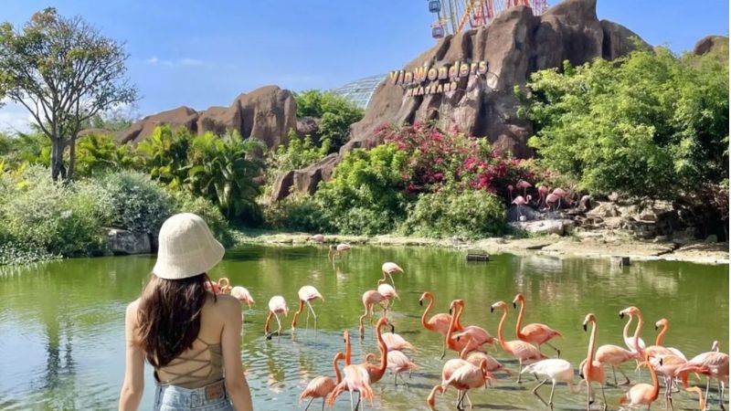 hon-tre-nha-trang-o-dau-11.jpg Hòn Tre Nha Trang 2026 – Một Hòn Đảo, Nhiều Trải Nghiệm Khác Nhau