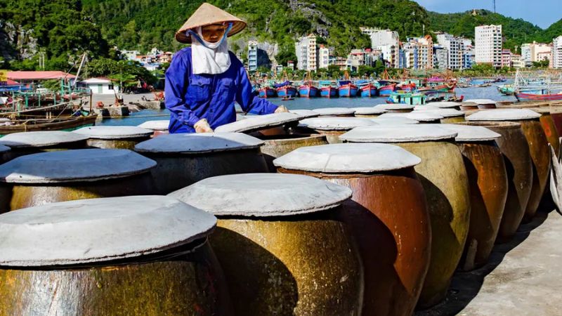 Nghề làm nước mắm Nam Ô