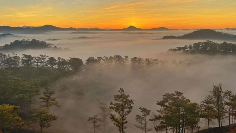 Rừng thông Bồ Bồ - Chốn dừng chân của những “kẻ mộng mơ”