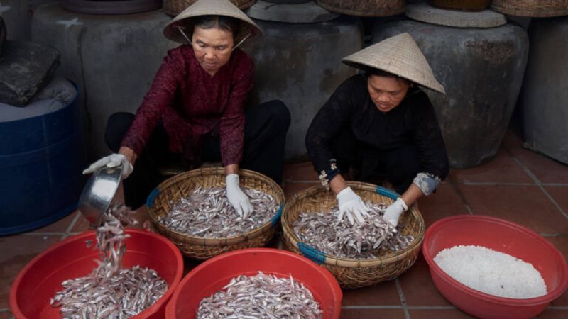 làng nghề nước mắm Nam Ô Đà Nẵng