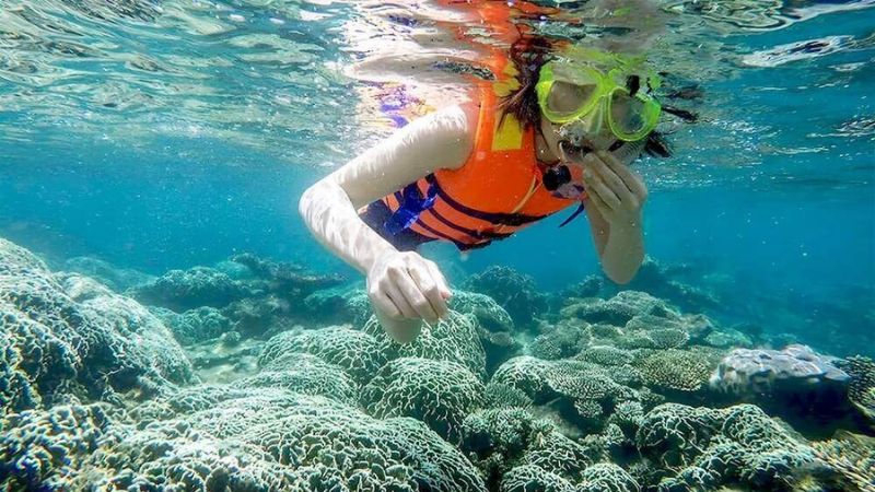 Lặn biển tại Bãi Xếp — ba hình thức, ba mức ngân sách khác nhau