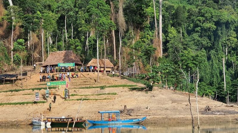 Vườn Quốc Gia Sông Thanh