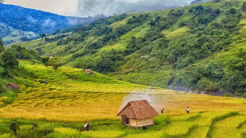 Núi Ngọc Linh - Đỉnh Cao Miền Trung