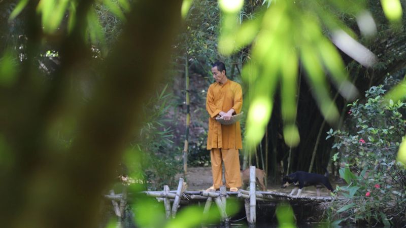 Sơn Trà Tịnh Viên