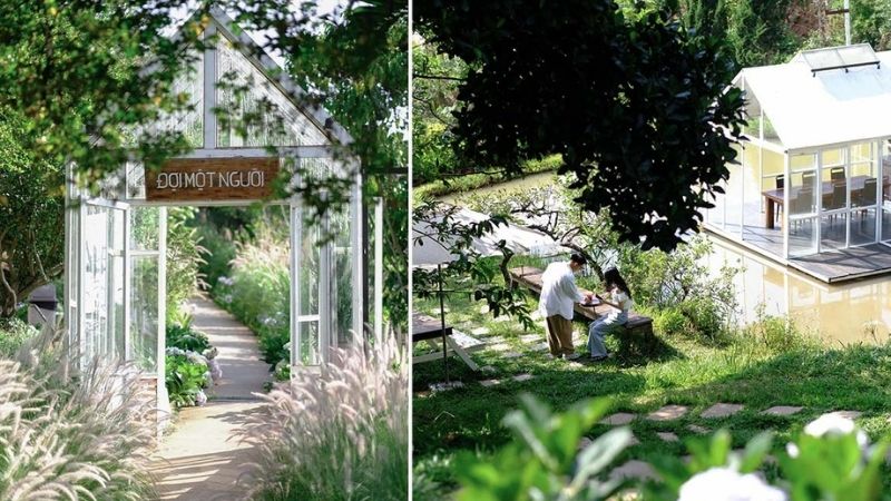 Quán Cà Phê Đợi Một Người Đà Lạt: Góc Nhỏ Thanh Bình Giữa Lòng Thành Phố Sương Mù
