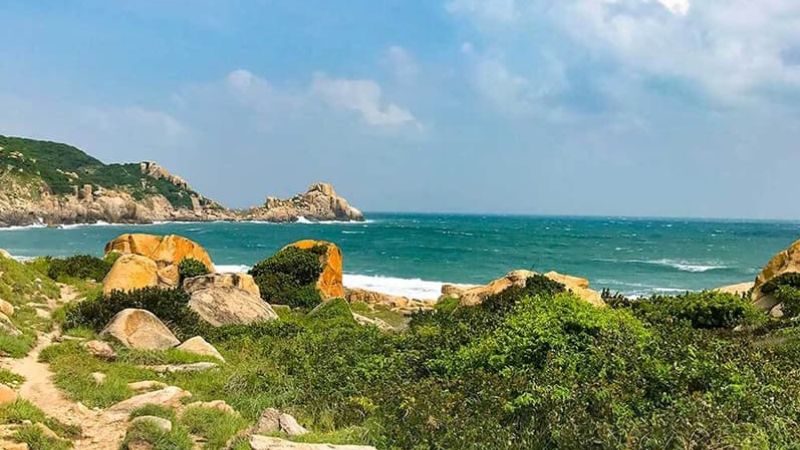 Vịnh Vân Phong: Vị Trí, Cách Đi Và Kinh Nghiệm 2026