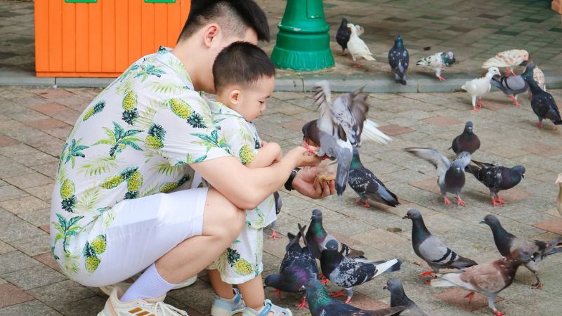 VinWonders Nha Trang 2026: Ở Đâu, Chơi Gì Và Cách Đi
