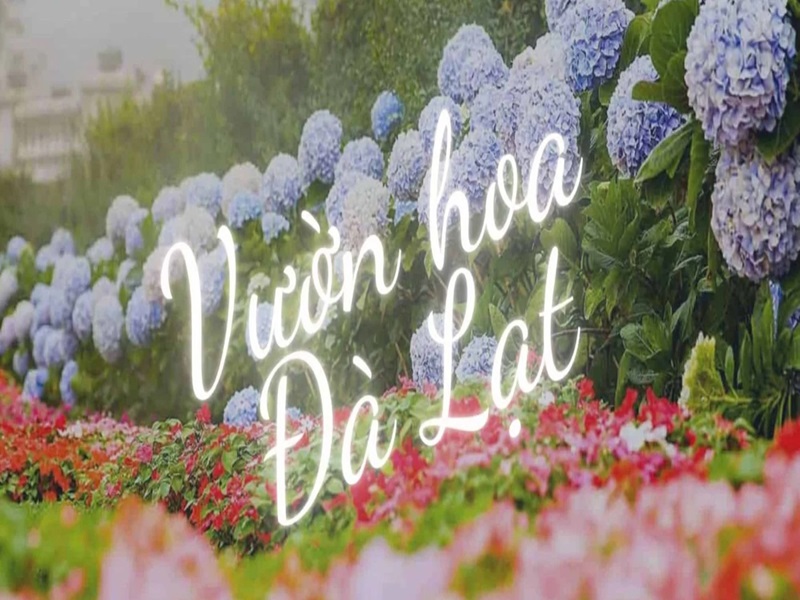 Vườn hoa Thành phố Đà Lạt-Thiên đường màu sắc giữa lòng thành phố 
