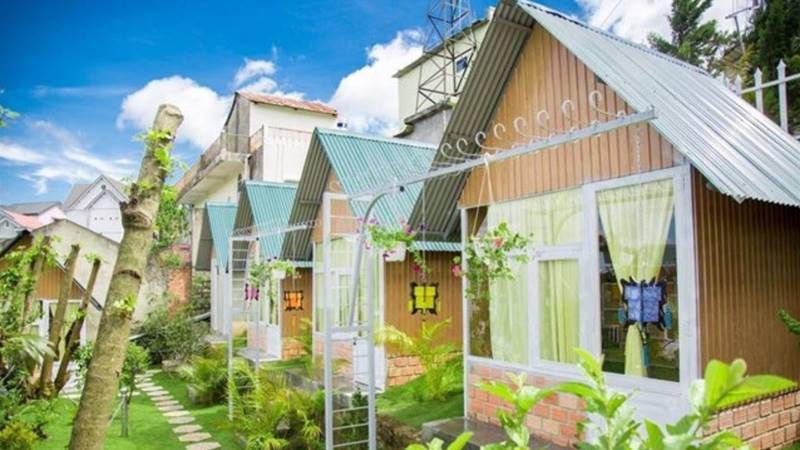 Windy Hill Đà Lạt: Trải nghiệm săn mây và cắm trại giữa đồi thông