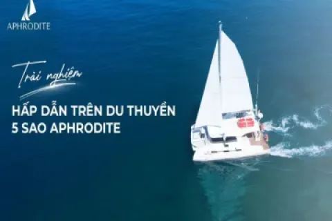 Du Thuyền VIP Ngoài Trời Tại Sơn Trà 