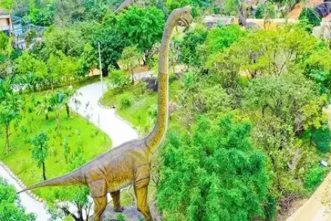Tour Núi Thần Tài 1 Ngày