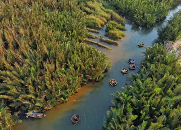 RỪNG DỪA BẢY MẪU - HỘI AN