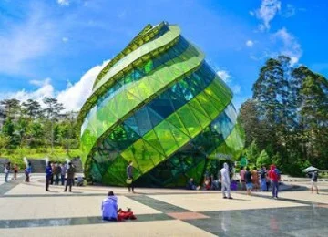 NGẮM HOA MAI ANH ĐÀO ĐÀ LẠT