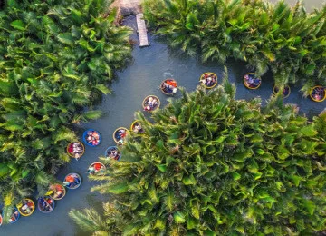 RỪNG DỪA BẢY MẪU