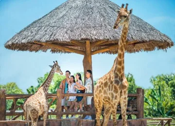 Đà Nẵng - Huế - Bà Nà - Cù Lao Chàm - Hội An - Vinpearl Nam Hội An 