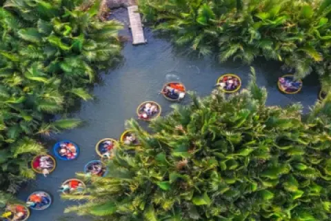 Tour Rừng dừa bảy mẫu