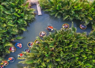 Rừng Dừa 7 Mẫu