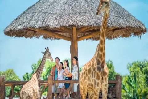 Vé VinWonders Nam Hội An