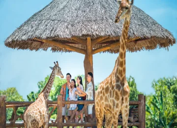 Vé VinWonders Nam Hội An