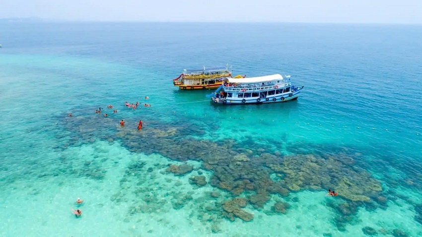 Lặn Ngắm San Hô Hòn Mun